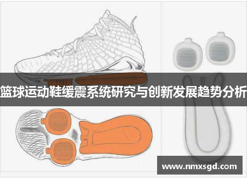 篮球运动鞋缓震系统研究与创新发展趋势分析