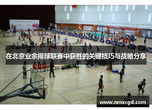 在北京业余排球联赛中获胜的关键技巧与战略分享