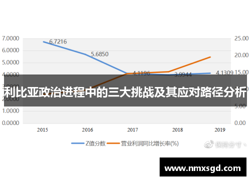 利比亚政治进程中的三大挑战及其应对路径分析