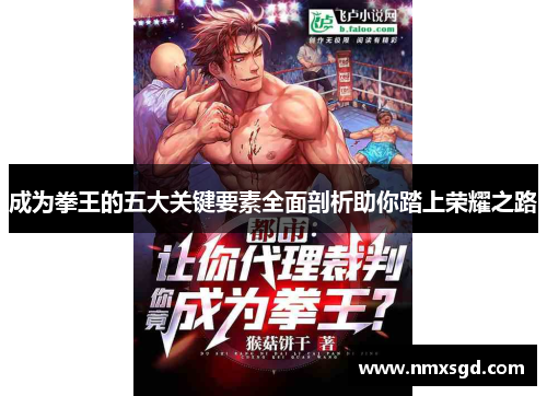 成为拳王的五大关键要素全面剖析助你踏上荣耀之路