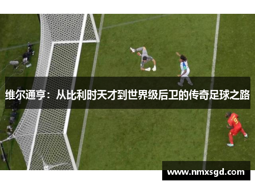 维尔通亨：从比利时天才到世界级后卫的传奇足球之路