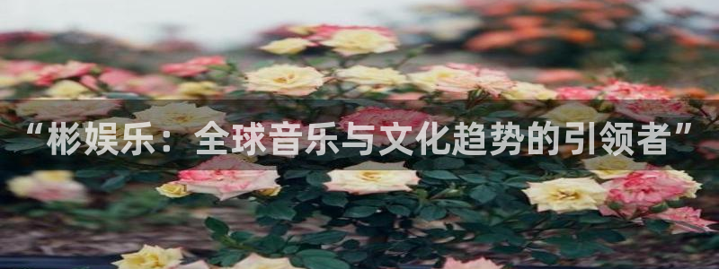 sunbet(中国区)官方网站